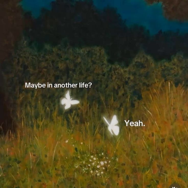 آره، متاسفم عزیزم. همینه دیگه..