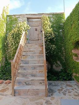 فرار از گرمای تابستان با سفر به الموت