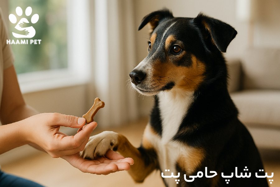 تشویقی سگ - پت شاپ حامی پت