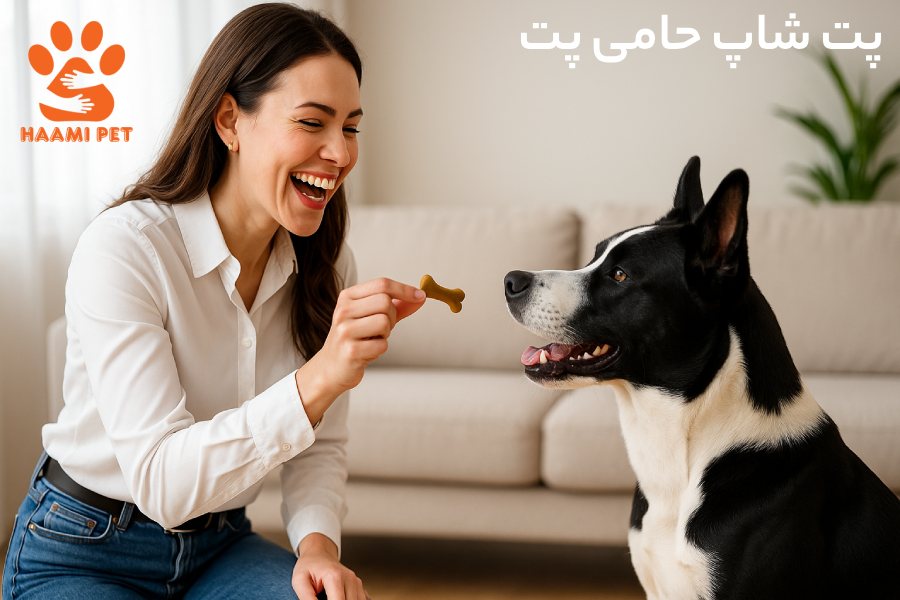بهترین زمان دادن غذای تشویقی سگ - پت شاپ حامی پت