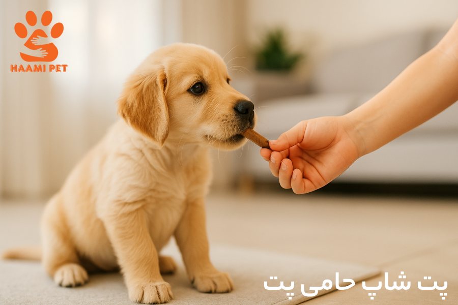 غذای تشویقی سگ برای توله سگ - پت شاپ حامی پت