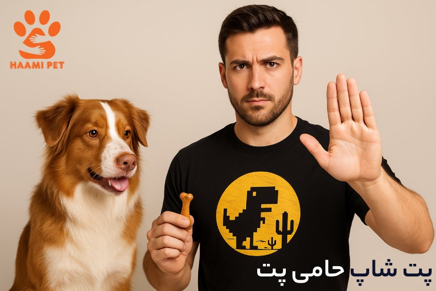 چه وقت ها غذای تشویقی سگ ندهیم؟ - پت شاپ حامی پت