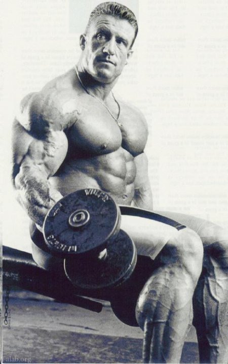 عکس باشگاه بدنسازی برای پروفایل