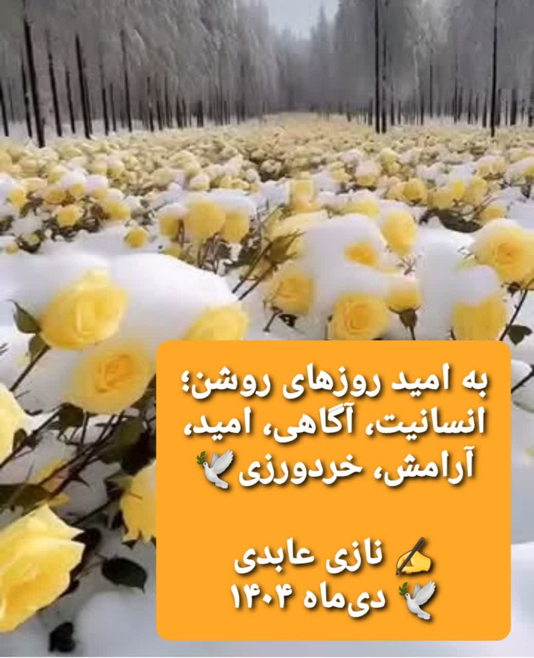 🌊🕊🕊🕊🕊🕊🌊