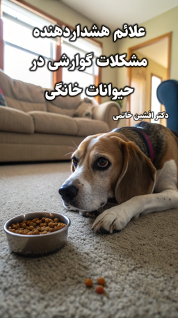 علائم هشداردهنده مشکلات گوارشی در حیوانات خانگی