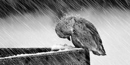 تسلیم افسردگی نشوید