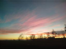 «پست های عکسی🩵🖼️🪴»