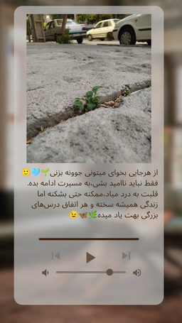 «پست های عکسی🩵🖼️🪴»