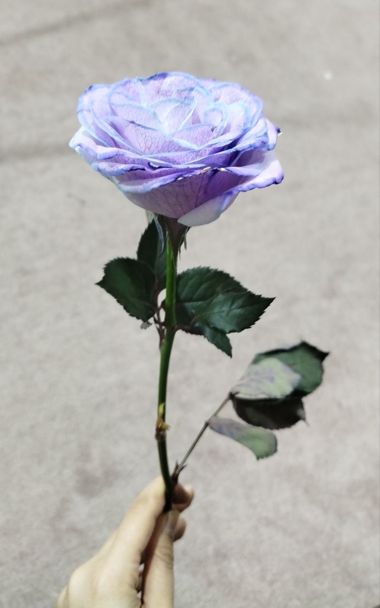 آخه ببیییییییییینش🥰