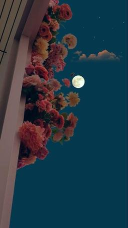 هرکه ایمانش بیش،امیدش بیشتر!