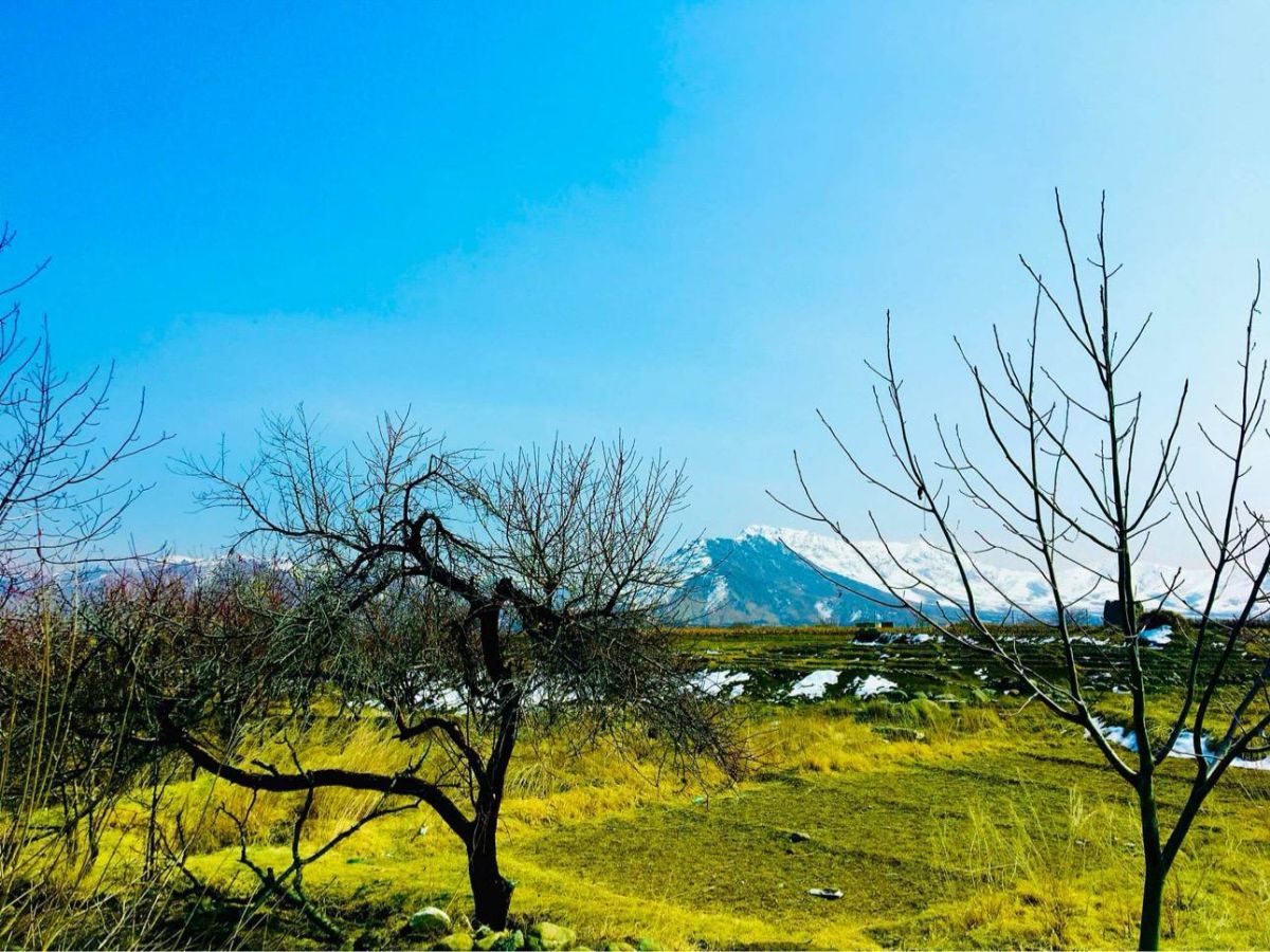 طبعیت زیبای دکو