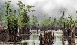 برکه ی خون ( پارت پایانی )