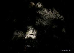 نه زن ها، نه بچه ها و نه عشق