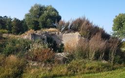 ایستاده در صدسال تنهایی