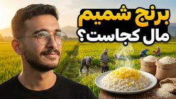 برنج شمیم مال کجاست؟
