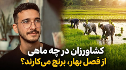 کشاورزان در چه ماهی از فصل بهار برنج می کارند؟
