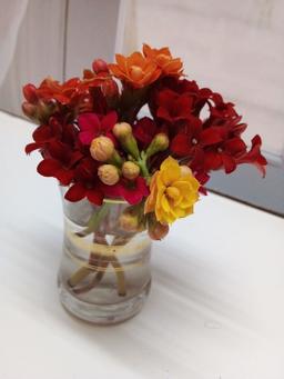 عکسی که کاش می‌گرفتم :)