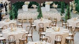 مالیات تالار عروسی چگونه محاسبه می شود؟