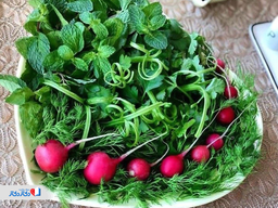 جایگاه بسیار مهم سبزیجات در حفظ سلامتی در طب سنتی ایرانی