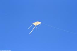 آیا بازاریابی محتوا بدون استراتژی محکوم به شکست است؟