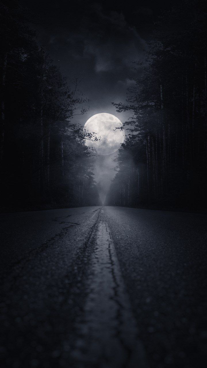 کجا میروی ؟ نمی دانم ، میروم تا بیابم لبخند خدا را