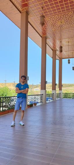 مجید افتاده