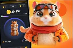 همستر جایگزین ریال ایران !