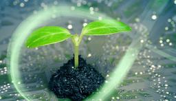 کسب و کار با درآمد بالا در حوزه کشاورزی