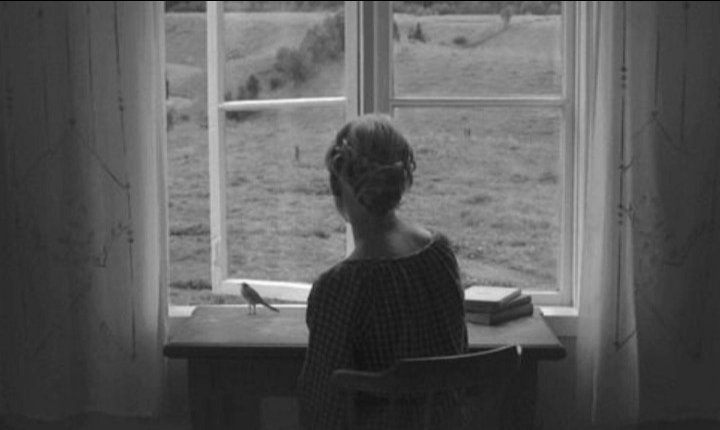 تو مانند آهن ربا مرا به سمت خود میکشانی ...