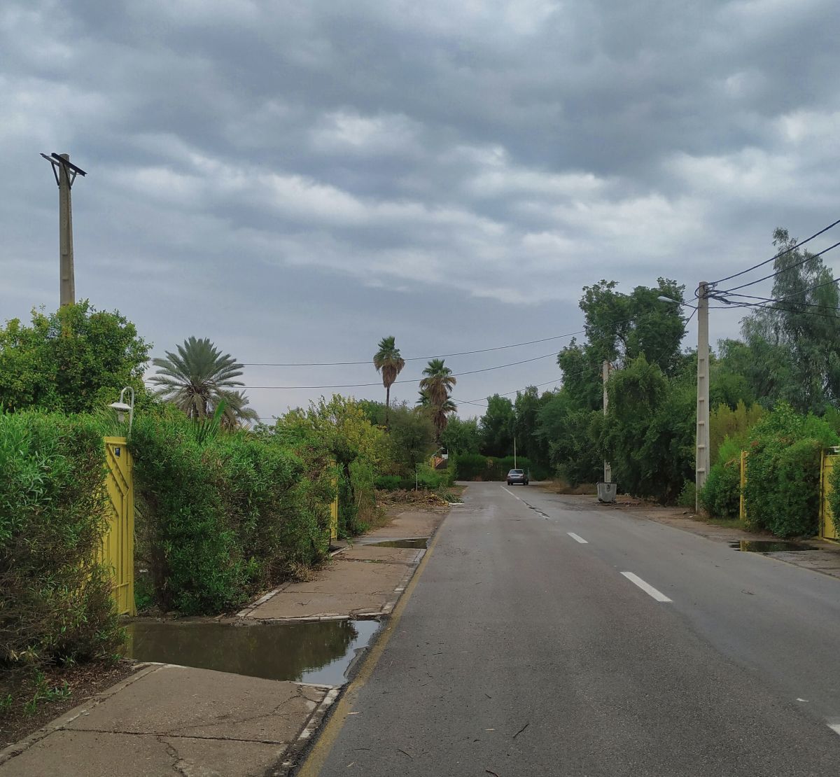 یکی از خیابان های پایگاه چهارم شکاری وحدتی در پاییز