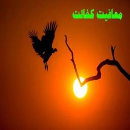 سن معافیت کفالت چند سال است؟