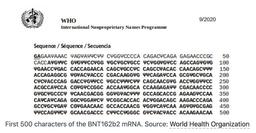 مهندسی معکوس کُد منبع واکسن BioNTech / Pfizer SARS-CoV-2