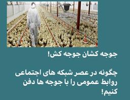 جوجه کشان جوجه کش! / چگونه در عصر شبکه های اجتماعی روابط عمومی را با جوجه ها دفن کنیم!