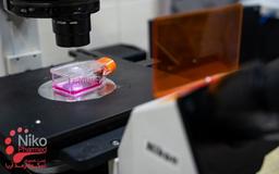 آزمون سمیت سلولی