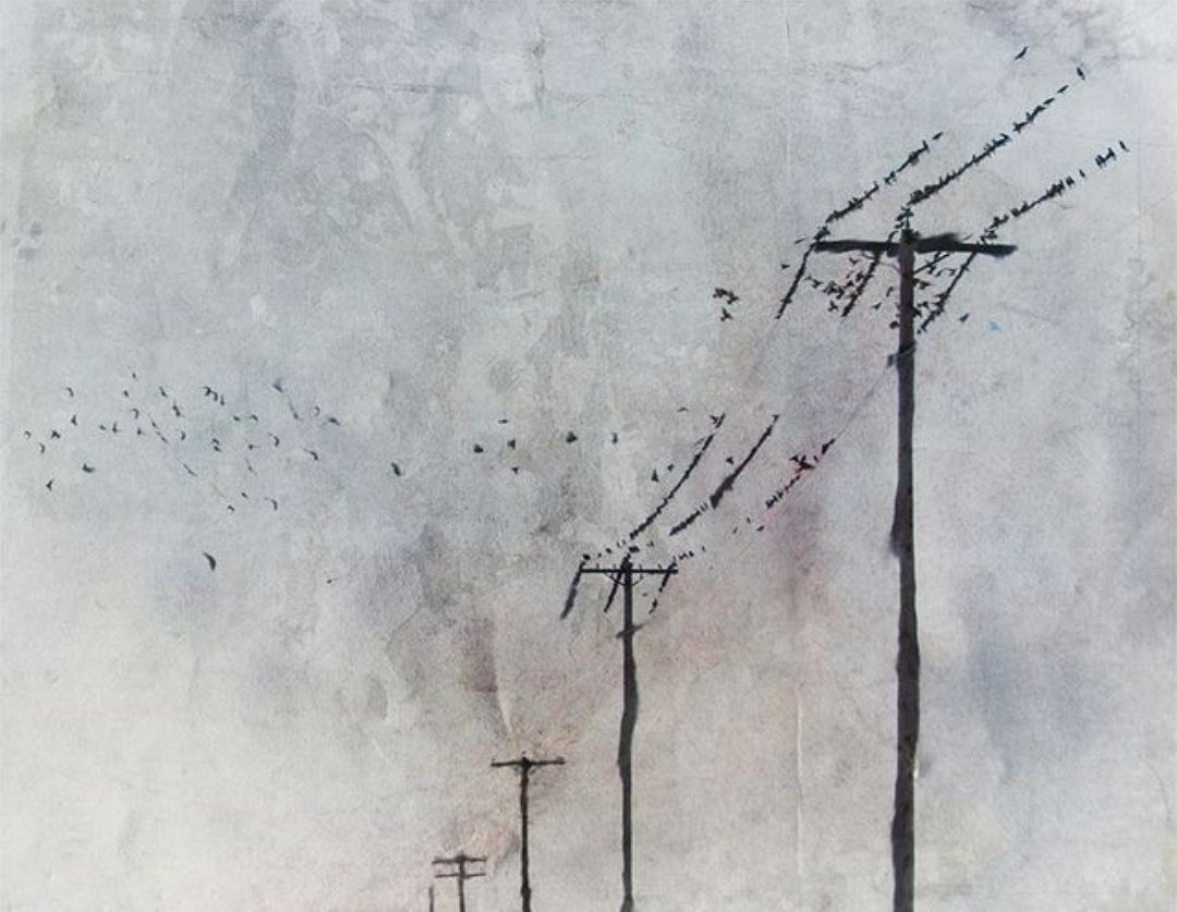 زنده باد مردن !