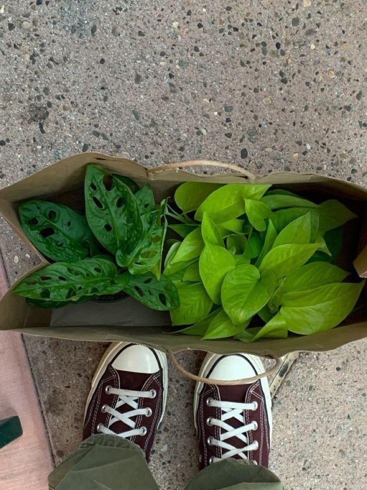 فعلا بدونید که تا یک ماه اینده افسرده‌م، تا ببینم بعدا چی می‌شه.