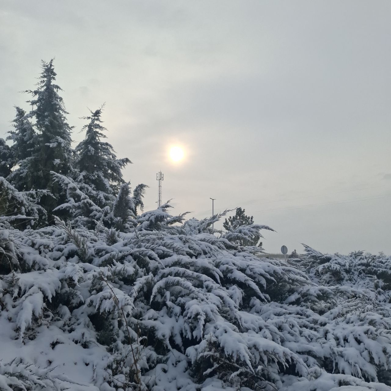 چون بیرون سرده برنگرد به خونهای که آتیش گرفته.