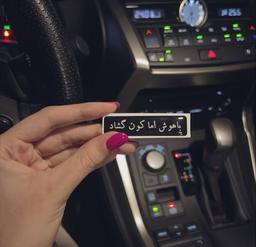 باهوش های تنبل متوهم