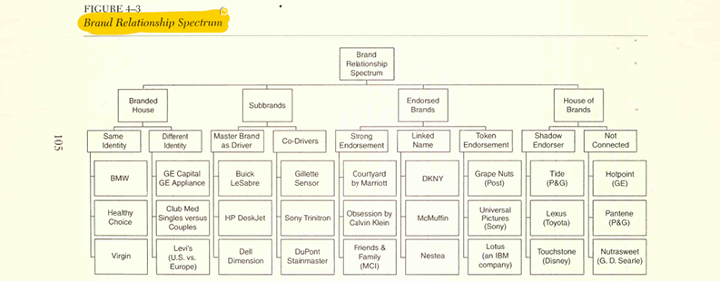 Brand Relationship Spectrum | طیف خویشاوندی برند