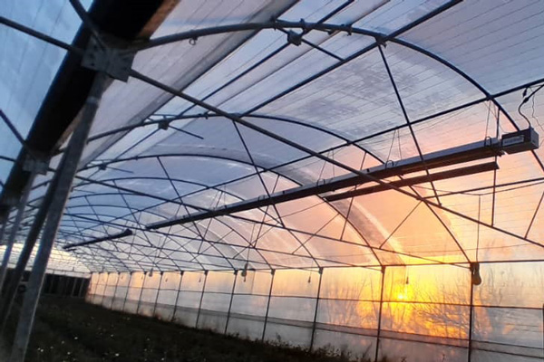 انواع هیتر تابشی