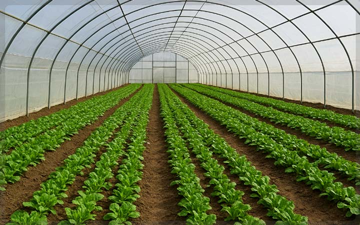 گرمایش گلخانه