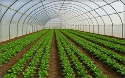 ۵ دلیل گرمایش گلخانه را بدانید