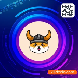 همه چیز در مورد ارز دیجیتال فلوکی اینو