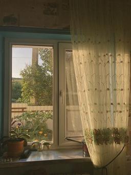 کتاب خواندن رویایی دور