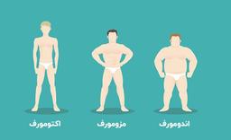 تیپ بدنی اکتومورف: ویژگی‌ها، چالش‌ها و راهکارها