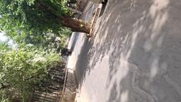 دیدار یار :)²