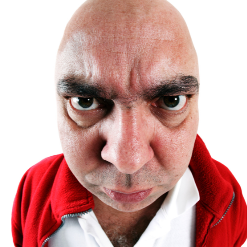 امیرمهدی فرخی