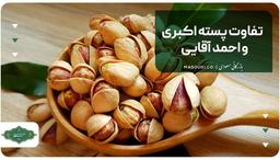 تفاوت پسته اکبری و احمدآقایی