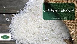 تفاوت برنج طارم و هاشمی