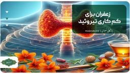 زعفران برای کم کاری تیروئید